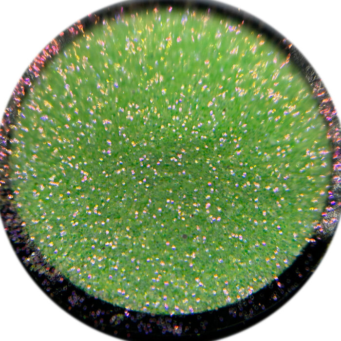Glitter 058